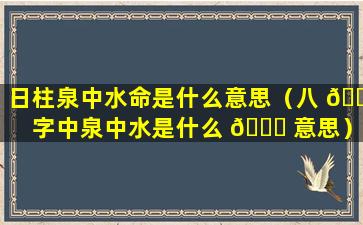 日柱泉中水命是什么意思（八 🐼 字中泉中水是什么 🕊 意思）